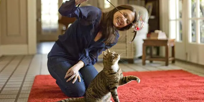 HP_PCC_md_0070_cat13
