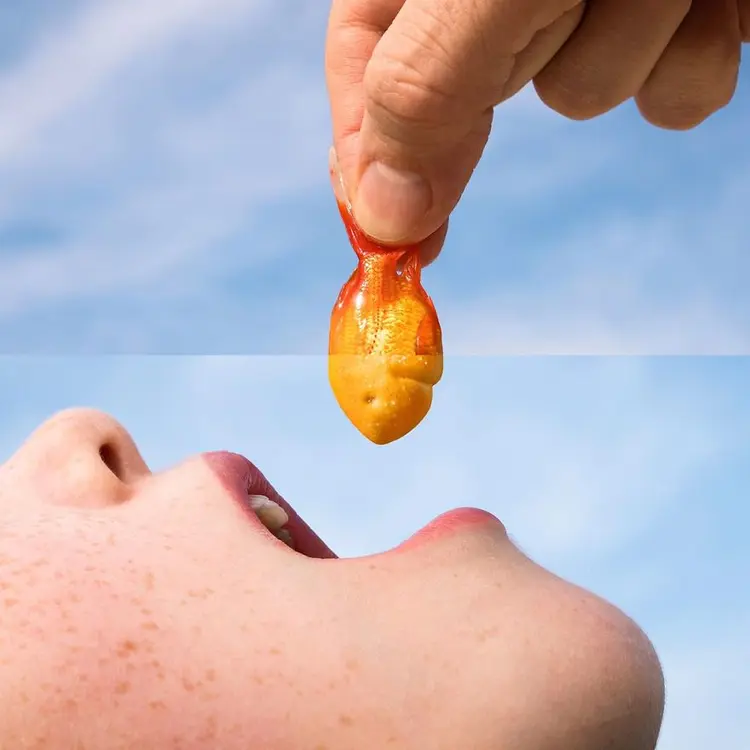 Photographer-Mashes-Photos-Together-For-Hilarious-ResultsNew-Pics-58cf3fb787cfe__880