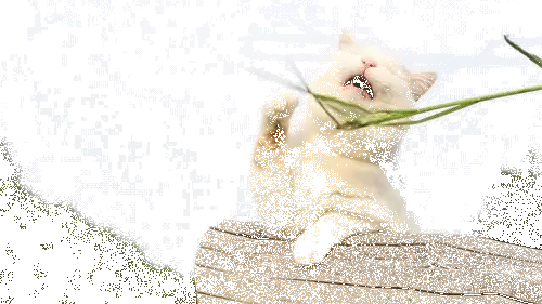 VY8tz18Hb04FO