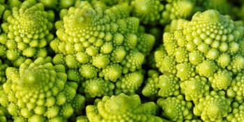 Muhtemelen Daha Önce Adını Bile Duymamış Olabileceğimiz Az Bilinen 17 Sebze