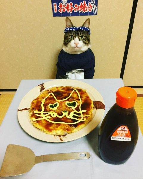 dining-with-dressed-cat-maro-japan-21-58f46ae7f2839__700