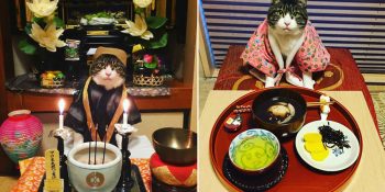 Kostümleriyle Japon Kültürünü ve Yemeklerini Tanıtan Ünlü Cosplayer Kedi: Maro