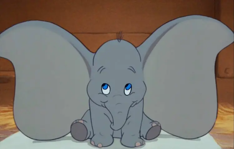 dumbo_homepage_thumb2-thumbnail-1600x1600