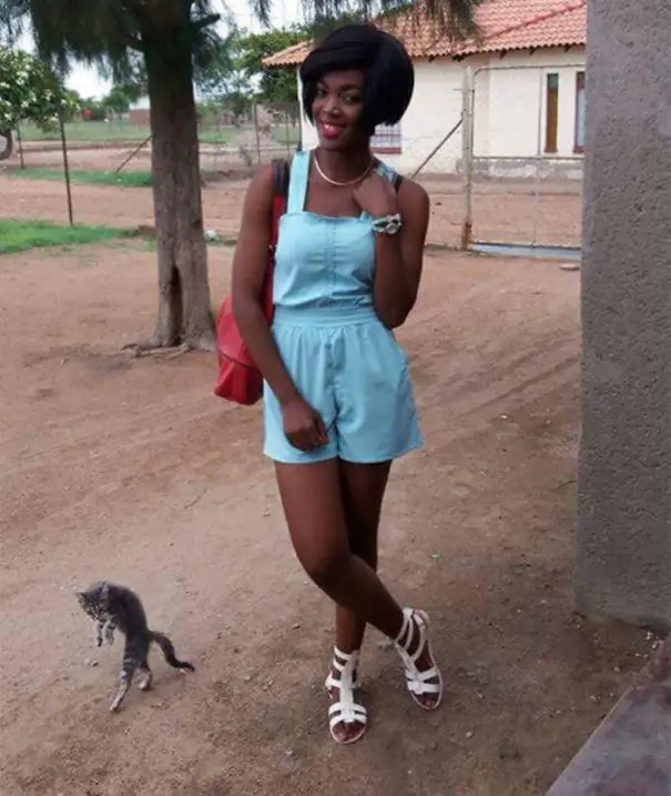 funny-cat-photobombs-110-58e39b9d40bb7__605