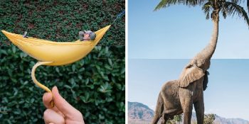 Fotoğrafları Birleştirerek Harikalar Yaratan Sanatçıdan 17 Eğlenceli Görsel