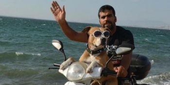 Sahibiyle Motora Atlayıp Tüm Yurdu Gezen Havalı Köpek Zıpkın’ın Gülümseten Hikayesi