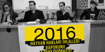 2016 Yılının Hayvan Hakları İhlali Raporu ve Ülkemizin Yürek Sızlatan Tablosu