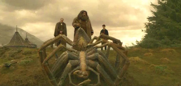 1_aragog_harry_potter