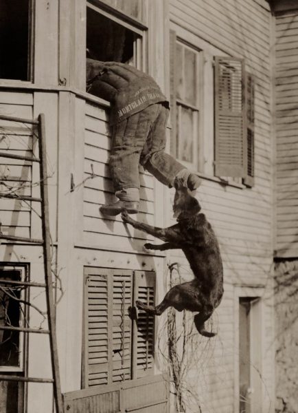 Bir-polis-köpeği-eğitimde-1919.