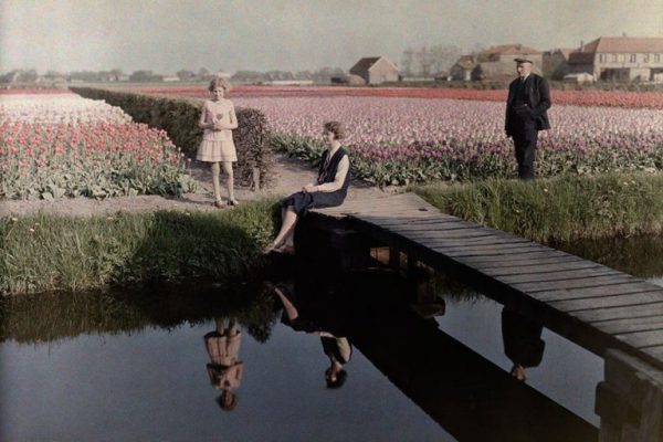 Lale-Bahçeleri-Hollanda-1931