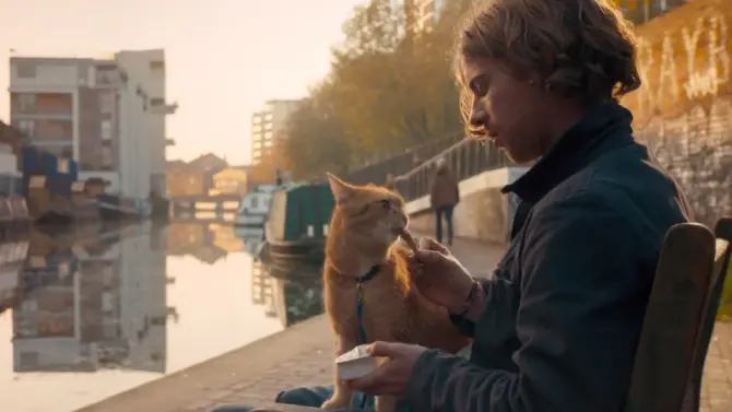 a-streetcat-named-bob-movie