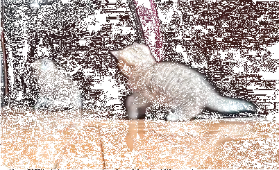a02bd1240d23e7217cccc0f0f13c7b51
