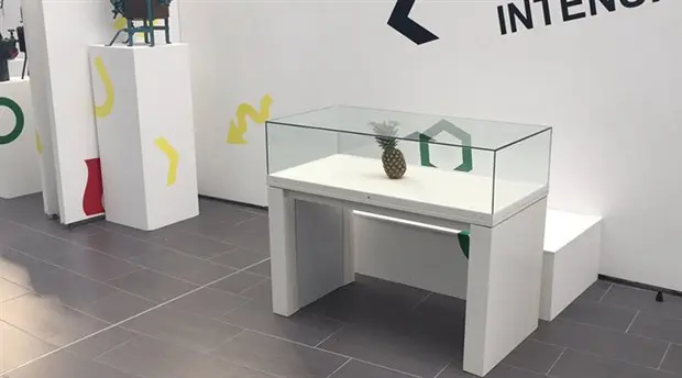 ananasi-sanat-eseri-sanip-sergilediler-284067-5