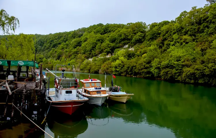 ağva