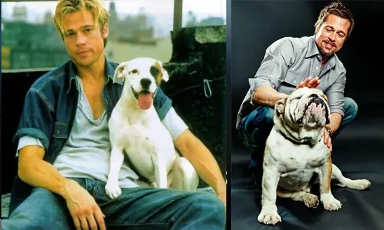 brad_pitt