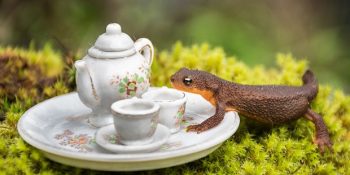 Ormandaki Dostlarımızla Beş Çayına Çıkmanın Keyfini Anlatan 9 Çay Partisi