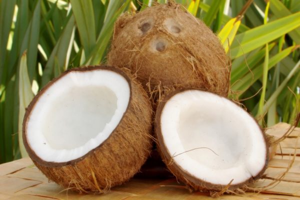 coconuts1