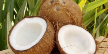 Süper Güçlere Sahip Hindistan Cevizinin Sağlığınıza 9 Muhteşem Etkisi