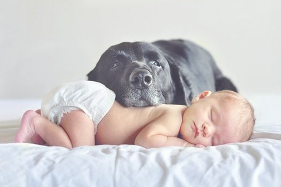 cute-baby-with-dog