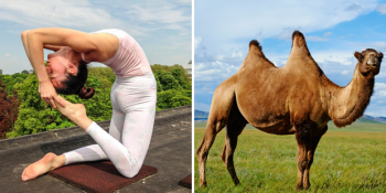 Hayvan İsimlerini Taşıyan Yoga Pozlarını Yapan İnanılmaz Esnek Kadın