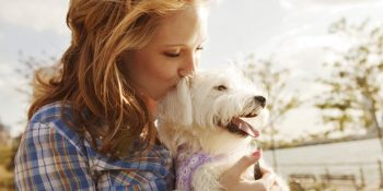 Sadece Köpek Ebeveynlerinin Bilebileceği 14 Patili Durum