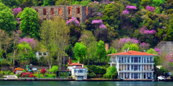 İstanbul’da Baharın Müjdecisi, Osmanlı’nın Simgesi Erguvan Çiçekleri Zamanı