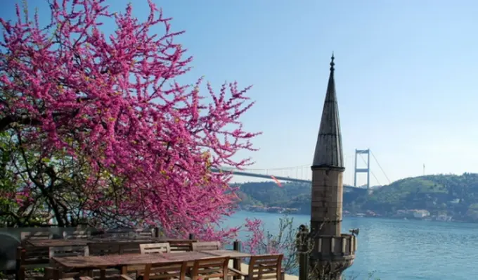 erguvan-istanbul-listelist