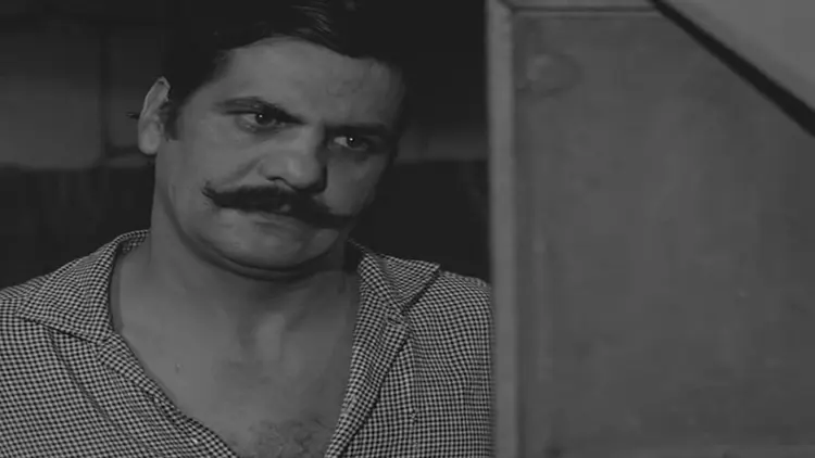 erol-tas_572004