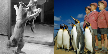 National Geographic Arşivinden Çıkan Birbirinden Etkileyici 24 Tarihi Fotoğraf