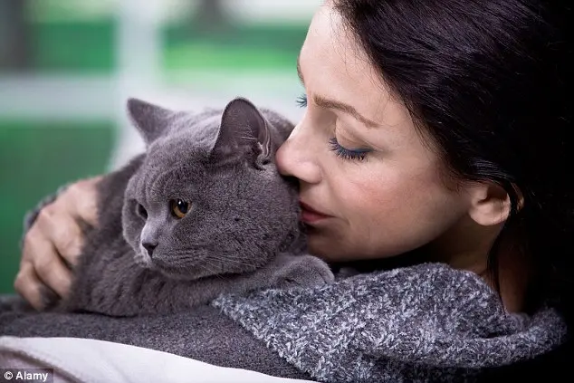 kedi_kucaklayici (6)
