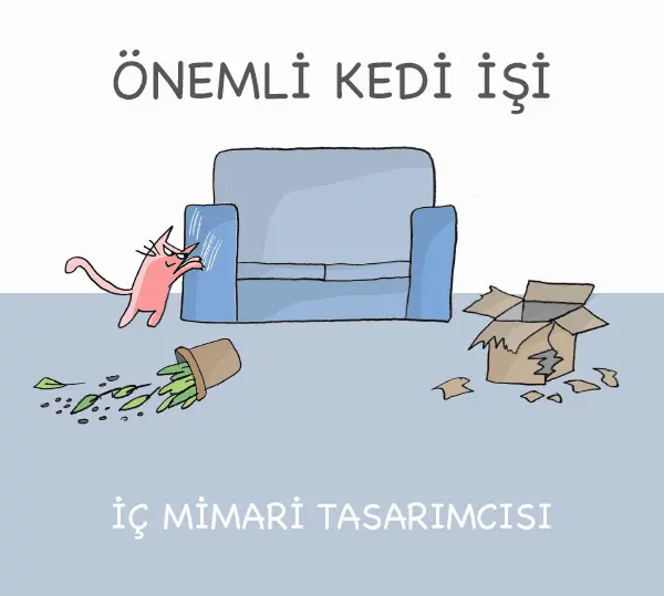 kedi_meslek (2)
