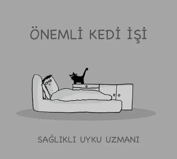 kedi_meslek (3)