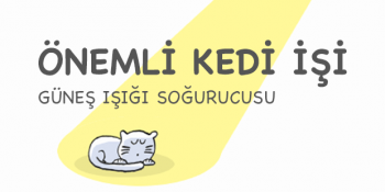 Kedilerin Kendine Meslek Edindiği ve Uzman Olduğu 15 Hayat Kurtarıcı İş