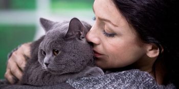 İnsanı İşkolik Yapabilecek Bir Meslek Kolu: Kedi Kucaklayıcıları