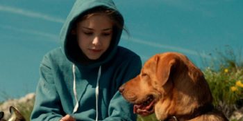 Köpeklerin Oynadığı Beyaz Perdenin 11 Kuyruklu Filmi