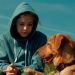 Köpeklerin Oynadığı Beyaz Perdenin 11 Kuyruklu Filmi