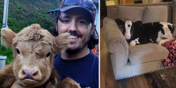 İneklerin Aslında Büyük Köpekler Olduğunu Kanıtlayan 23 Sevimli Durum