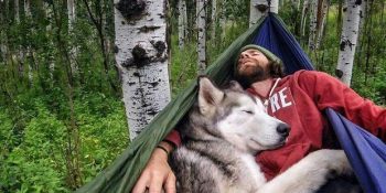 Çıktığınız Yolculuklarda Köpeğinizi de Yanınızda Götürmenizin 13 Güzel Yanı