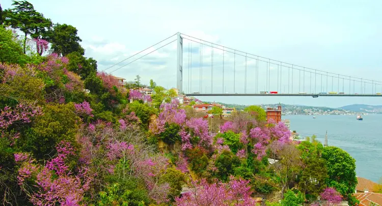 time-istanbul-erguvan