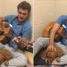 Sevimli Hastalarına Gitar Çalarak Onları Rahatlatan Veteriner: Ross Henderson
