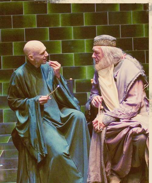voldemort-and-dumbledore-having-a-chat-photo-u1