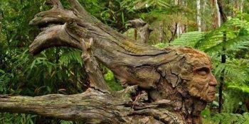 Avusturalyalı Sanatçının Doğayla Sanatı Buluşturduğu 25 Muazzam Eseri