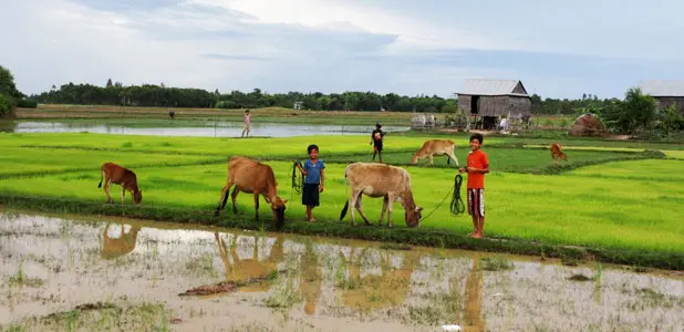 24b_Svay-Rieng-Province