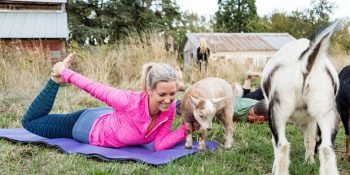 Geleneksel Yogaya Yeni Bir Soluk Getiren 11 İlginç ve Eğlenceli Yoga Türü