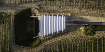 Üzüm Bağlarının Ortasında Sanatla Doğayı Birleştiren Muhteşem Sanat Sergisi