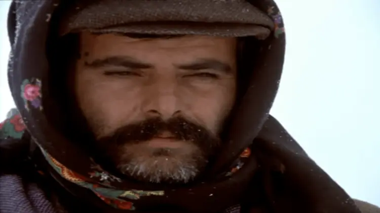 Ekran Görüntüsü (214)