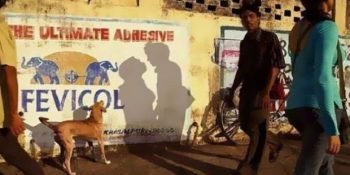 Gölgelerin Gücünü Azımsamamanız Gerektiğini Kanıtlayan 22 İlginç Fotoğraf