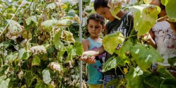 Daha Kaliteli Bir Eğitim ve Öğretim İçin “Başka Bir Okul Mümkün”