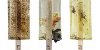 Tayvanlı Öğrencilerden Böcekli, Çöplü, Bakterili Dondurmalar