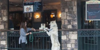 Büyüdüğü Sokaktaki Mekanları ve Günlük Aktivitelerini Anlatan Novi’nin Eğlenceli Yerel Hayatı